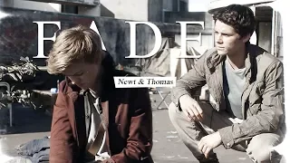 ❖ FADED | Newt & Thomas [+tdc]