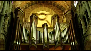 Sigmund Krähe - organ music opus 187 "Fall Winds"// impressive and dramatic music