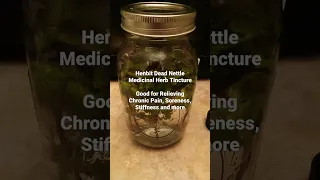 Made A Henbit Dead Nettle Medicinal Herb Tincture 3-19-2023