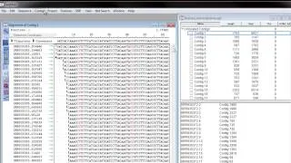 DNASTAR - Iterative Transcriptome Assembly