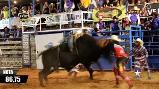 Rodeio de Ilha Solteira-SP 2019 / MELHORES MONTARIAS SEXTA-FEIRA