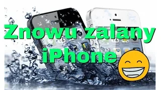 iPhone 6 - zalany