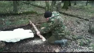 Приметивнся лесная пила A silent saw for the forest