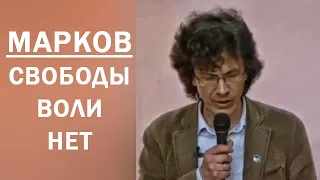 Свободы воли нет, люди — биороботы (А.В. Марков, эволюционный биолог)