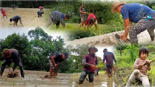 Nagaland Village Life Paddy Cultivation | Summer Happiness @CktsVlogs