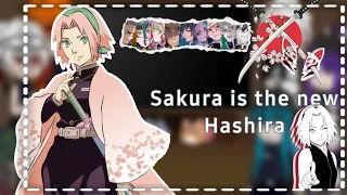 •Hashiras react to sakura•{🌸Sakura is new hashira🌸}Part 1.