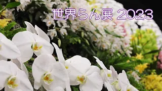 世界らん展 2023 ～花と緑の祭典～[4K] Japan Grand Prix International Orchid and Flower Show 2023