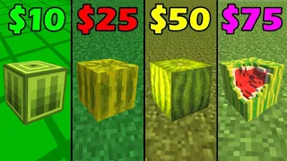 minecraft melon for 0$ vs 10$ vs 25$ vs 50$ vs 100$