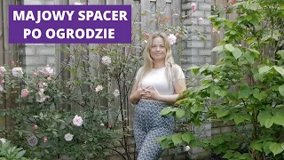 Majowy spacer po ogrodzie / Pierwsze sukcesy i porażki / MrsGarden