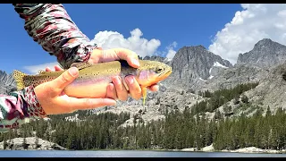 Fishing for Giant California Golden Trout | Backpacking in the Sierras | Lucky Tides Fishing