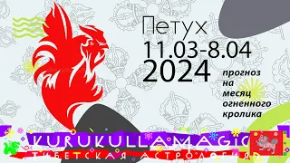 Прогноз для птиц на месяц огненного кролика с 11 марта по 8 апреля