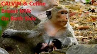 So Happy! Mom Casi Allows Both Baby CALVIN & Celine Breast Nutrition Milk In The Same Time, Nice Mom