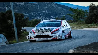 Amazing Peugeot 307 Rally / Pure Sound