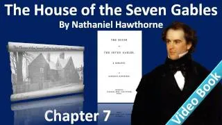 Chapter 07 - The House of the Seven Gables by Nathaniel Hawthorne - The Guest