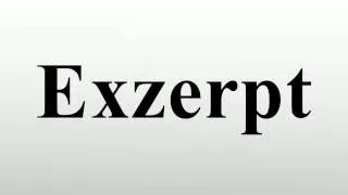 Exzerpt