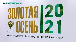 Золотая осень-2021. Видеообзор