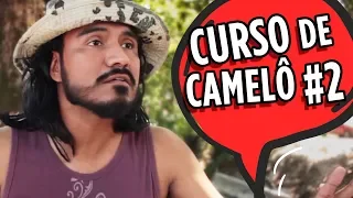 CURSO DE CAMELÔ #2