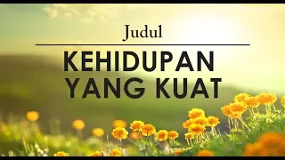 KEHIDUPAN YANG KUAT | Renungan Harian 12 Mei 2019 (dengan TEXT) | "BAPA KITA PEDULI"