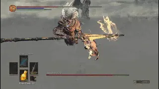 dark souls 3 on intel hd , nameless king boss fight ( potato graphics )