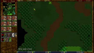 Warcraft 2 20.2.2024