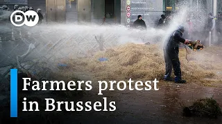 Farmers clash with police ahead of EU summit | DW News