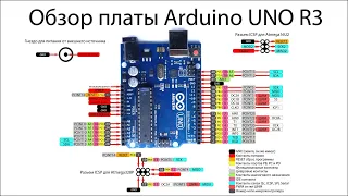 Как прошить Arduino uno. Обзор платы. Arduino для начинающих.