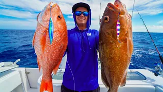 A Fishermans PARADISE! Catch Clean Cook (GIANT Snapper & Grouper)