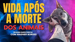 VIDA APÓS A MORTE DOS ANIMAIS - WAGNER BORGES