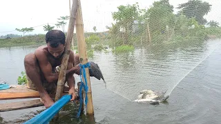 Millions of fish were swept away by the flood ।। কোটি টাকার মাছ বন্যায় ভেসে গেল,