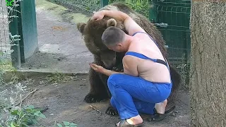 Андрей вольер проверяет, Мансур ждёт, и обнимашки. Медведь Мансур 🐻💕