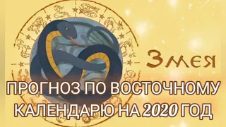 ПРОГНОЗ ДЛЯ ЗМЕЙ НА 2020 ГОД/FORECAST 2020