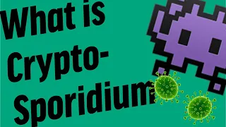 What is Cryptosporidium?