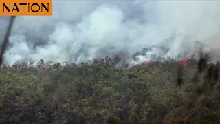 Fire burns 6,500 acres of moorland in Mt Kenya Forest