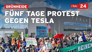 Protest gegen Tesla: Camp in Grünheide wird abgebaut