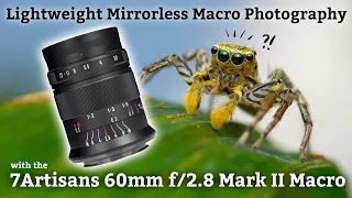 LIGHTWEIGHT Mirrorless Macro Photography w/ 7Artisans 60mm f/2.8 mkII macro