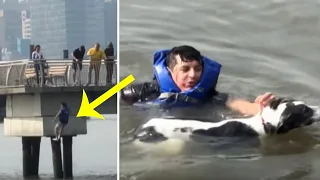 Man Leaves His Own Birthday Party And Jumps Into The River To Save Dog