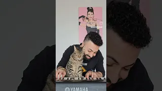 Pianist Cat 🎹❤️🐈