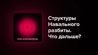 Политолог Екатерина Шульман — о роли структур Навального и о том, как изменится протест