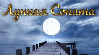 Бетховен Лунная Соната лучшее исполнение. Beethoven Moonlight Sonata