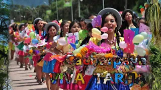 Cacharpaya VIVA TARIJA MIX