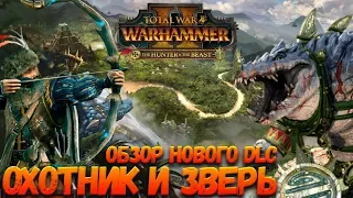 Обзор нового DLC для Total War: Warhammer 2 - Охотник и Зверь