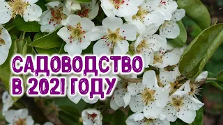 Сады в 2021 году