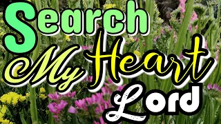 Search My Heart/Country Gospel With Lyrics/Lifebreakthroughmusic