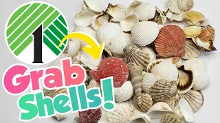 BRILLIANT Sea Shells Crafts  | Dollar Tree Summer DIY Crafts