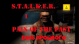 S.T.A.L.K.E.R. - Pain of The Past: Боль прошлого ч.1 Где я? Неизвестная тварь.