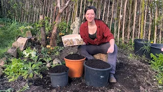 Planting First Early Potatoes - Will Pot Size Matter?