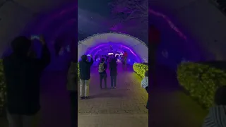 Lights infinite tunnel Gotemba of Kogen Resort Toki no Sumika 2021 Japan 🇧🇷 in 🇯🇵 #Shorts