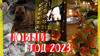 VLOGmas: Новый год 2023!