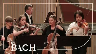 Bach - Concerto for two violins in D minor BWV 1043 - Sato and Deans | Netherlands Bach Society