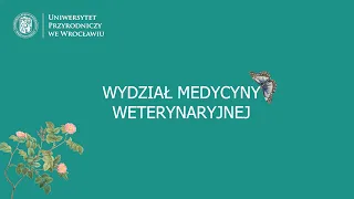 WEBINAR UPWr, Wydział Medycyny Weterynaryjnej